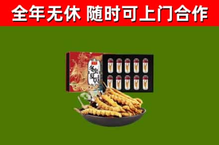 海北烟酒回收冬虫夏草礼盒.jpg